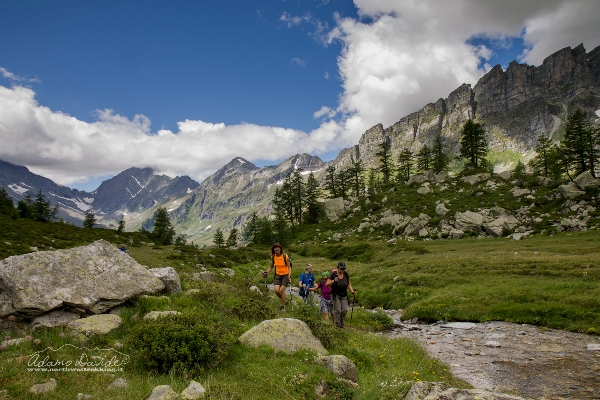 BiancoVegliaRed 6448